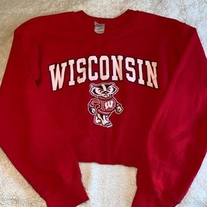 Gently worn Wisconsin cropped crew neck